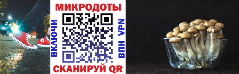 Галлюциногенные грибы мухоморы  Старый Оскол 